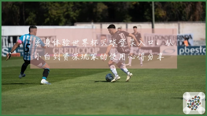 亲身体验世界杯买球登录入口，从小白到资深玩家的使用心得分享