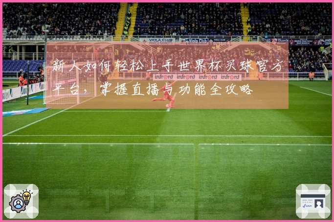 新人如何轻松上手世界杯买球官方平台,掌握直播与功能全攻略