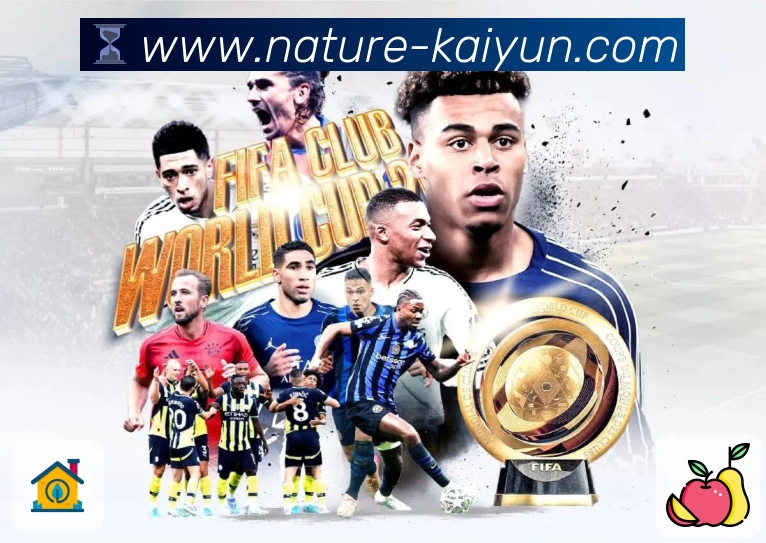 开云 Sports 官方视觉图